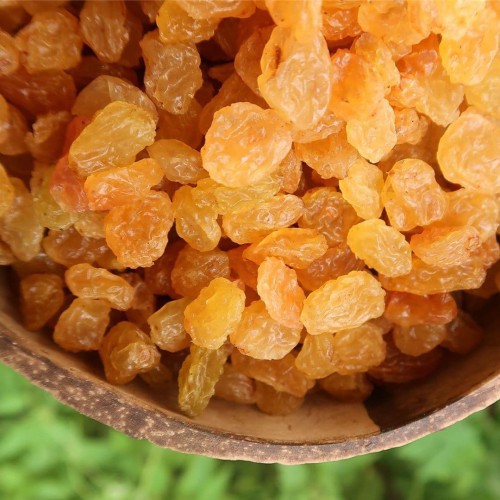 

ORGANIC DRIED GOLDEN RAISIN MINI (KISMIS KUNING KECIL) | 500 gram