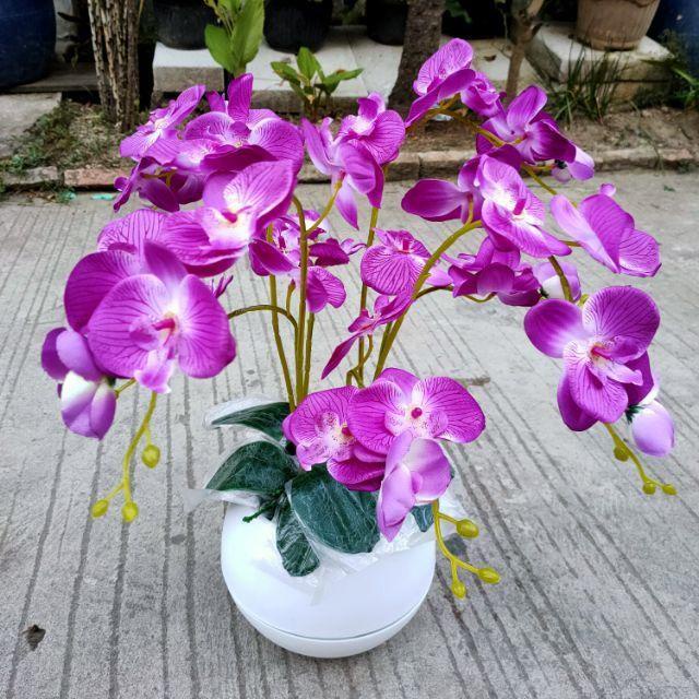 BUNGA ANGGREK LATEX JUMBO / TANAMAN ANGGREK ARTIFICIAL / BUNGA ANGGREK