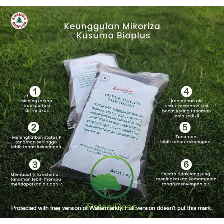 Pupuk Hayati Mikoriza Kusuma Bioplus