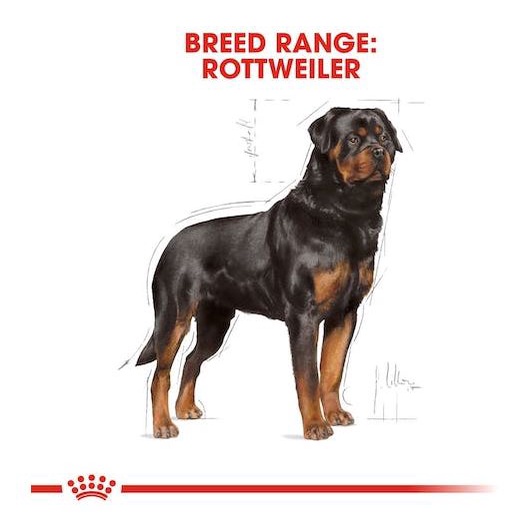 Royal Canin Rottweiler Adult 12KG Makanan Anjing Dewasa Besar Ras Dry Large Dog Food