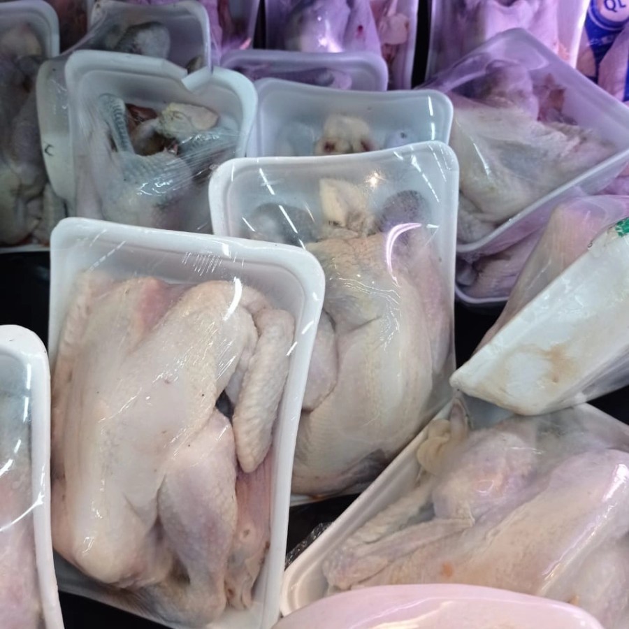 

AYAM KAMPUNG FROZEN HARGA PER EKOR