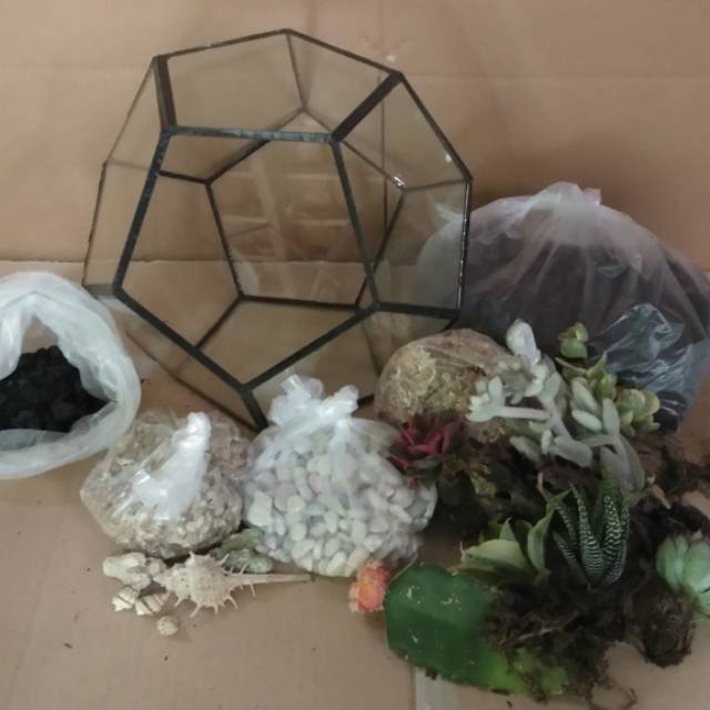 Terrarium kit, terrarium kaktus & sukulen, terrarium, terarium, tanaman hias, kaktus, sukulen
