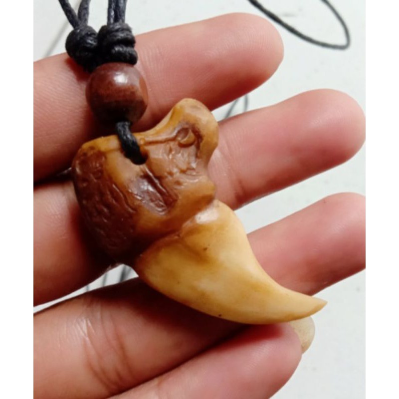 HOT KALUNG KUKU HARIMAU MACAN