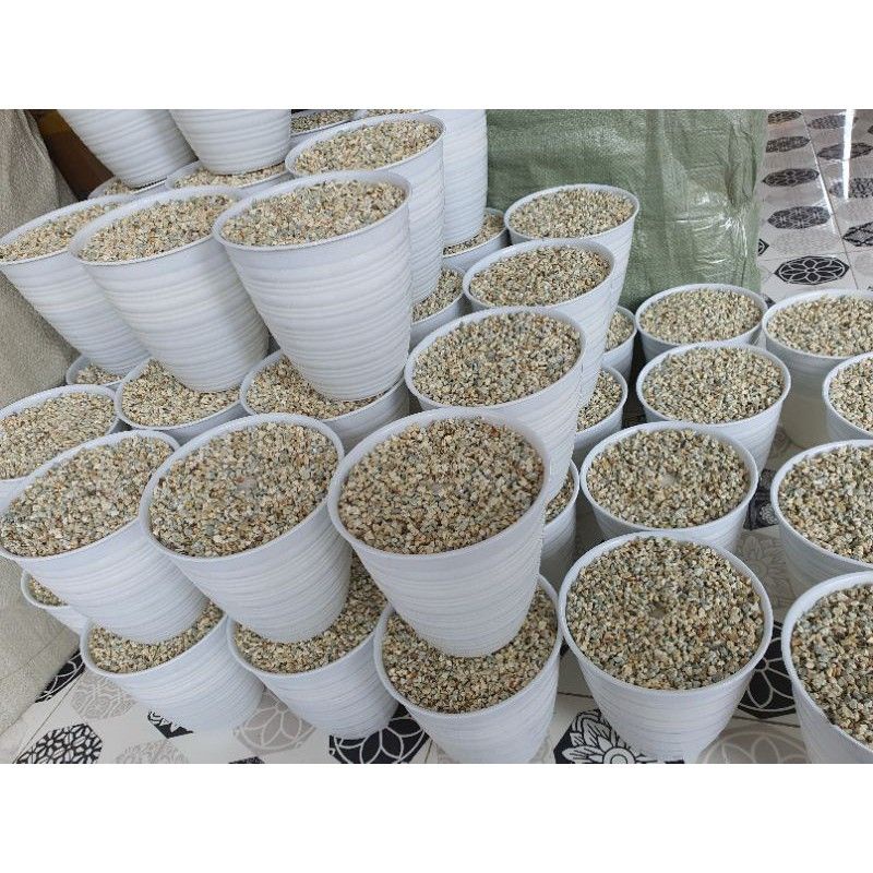 Pot Siap Pakai Pot Pirus Besar Diameter 18Cm Pot Plus Batu