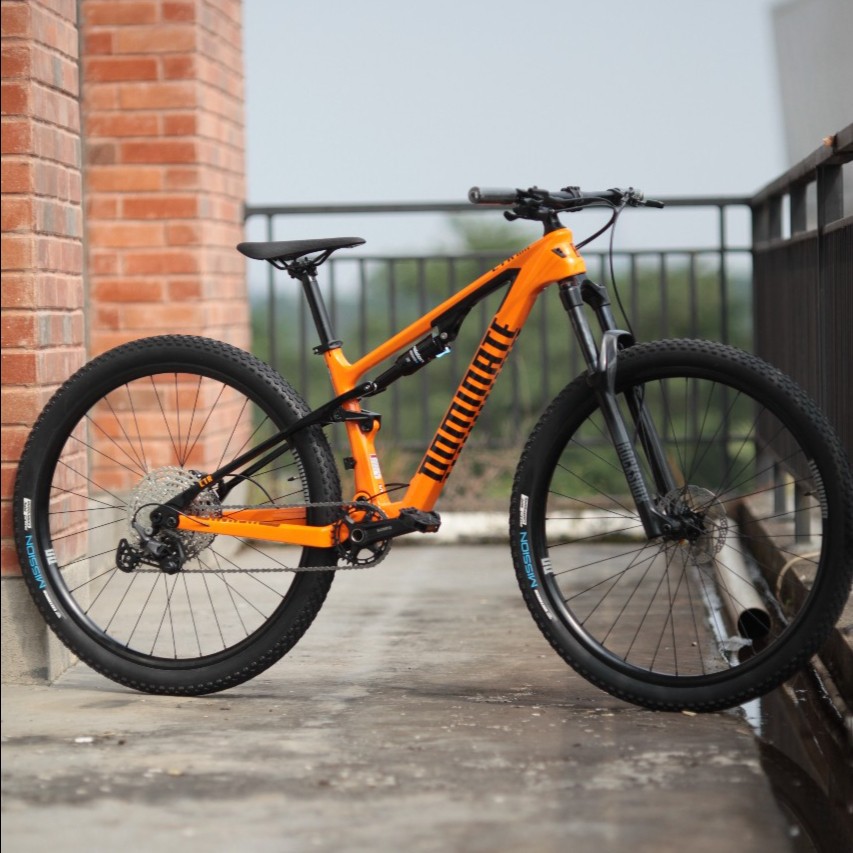 SEPEDA MTB DOMINATE CTR ELITE