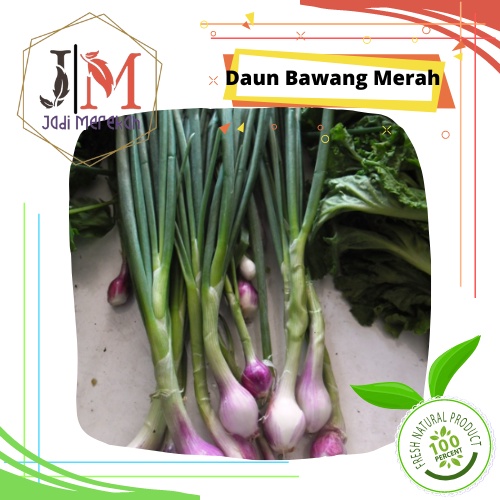 

[JM SoFresh] - Daun Bawang Merah