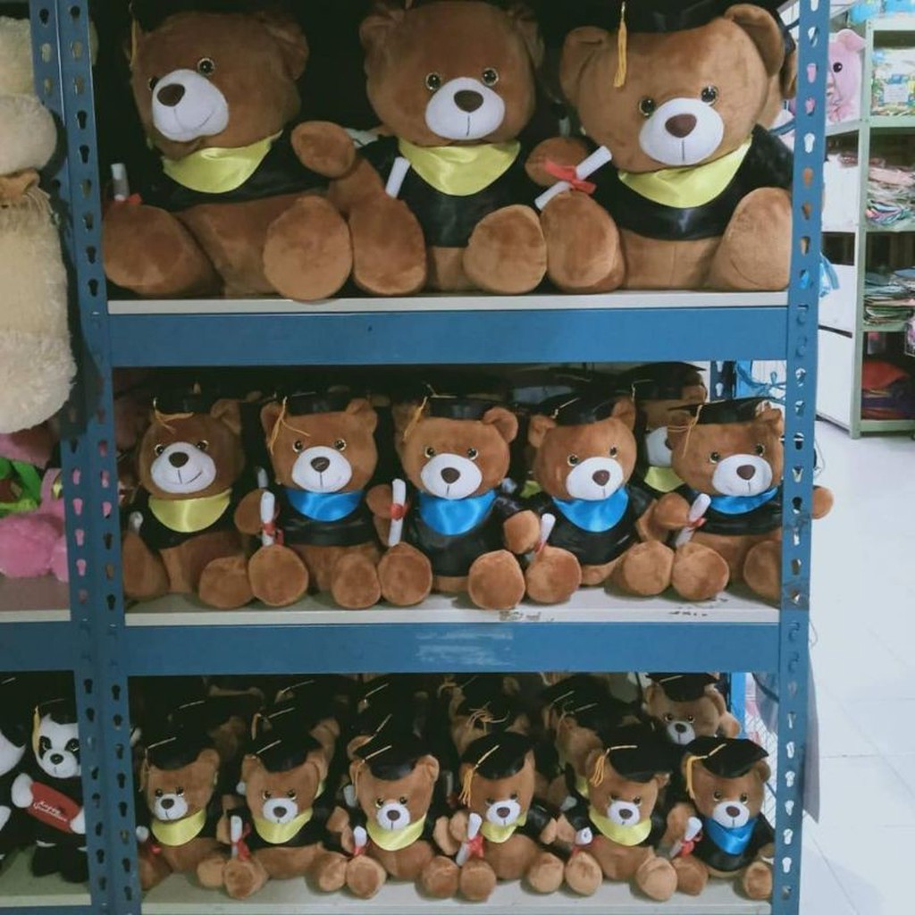 BNK BONEKA WISUDA BEAR SEULGI