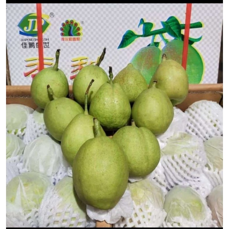 

xiangli
