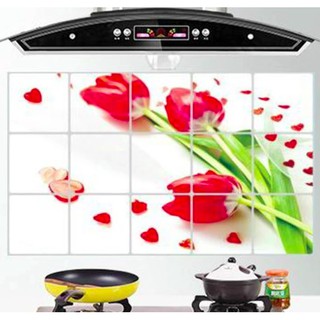  Ready Stiker Anti  Minyak  Untuk Dapur  Wallpaper Dapur  