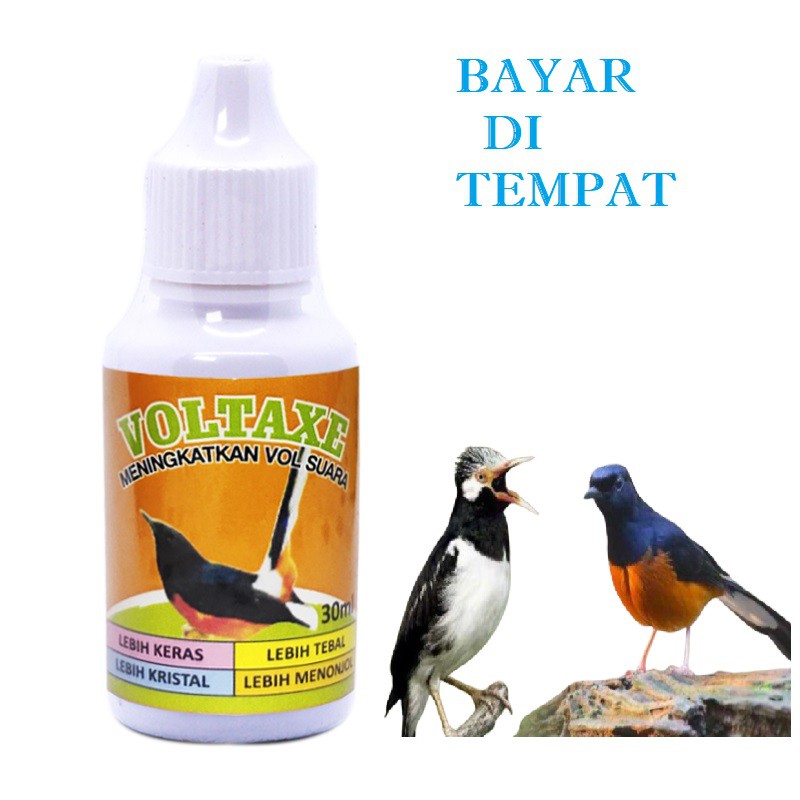 VITAMIN BURUNG KICAU MURAH VOLTAXE OBAT TAMBAH GACOR BURUNG MURAI KACER ANIS LOVE BIRD AMPUH