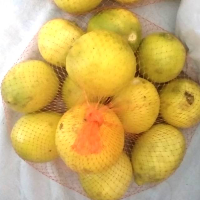 

Jeruk Lemon segar