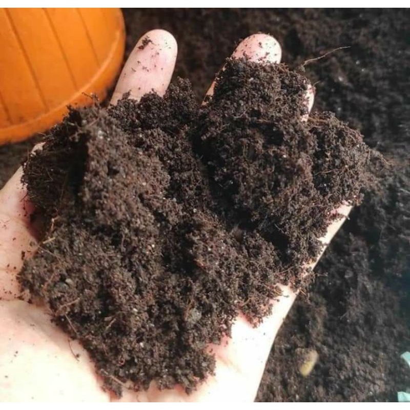 media tanam cocopeat kemasan 1kg siap pakai