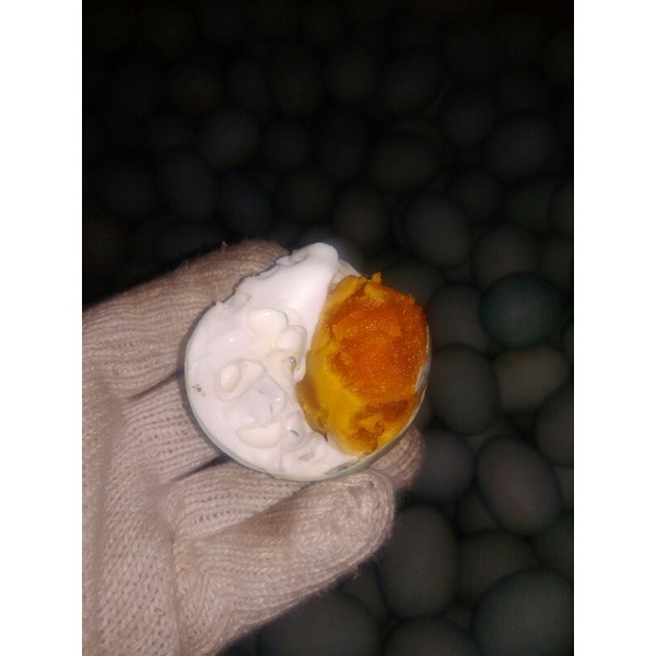 

Telur asin asli brebes masir