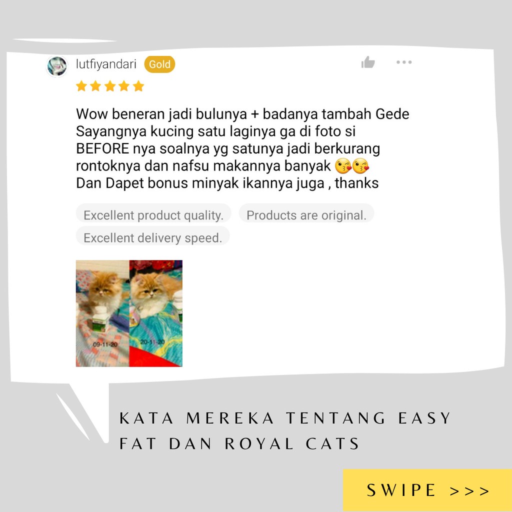 VITAMIN KUCING NAFSU MAKAN BULU GONDRONG EASY FAT JAPAN