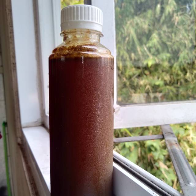 

Madu Kelanceng