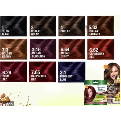 Garnier Hair Color Natural Sachet/Garnier Cat Rambut Sachet