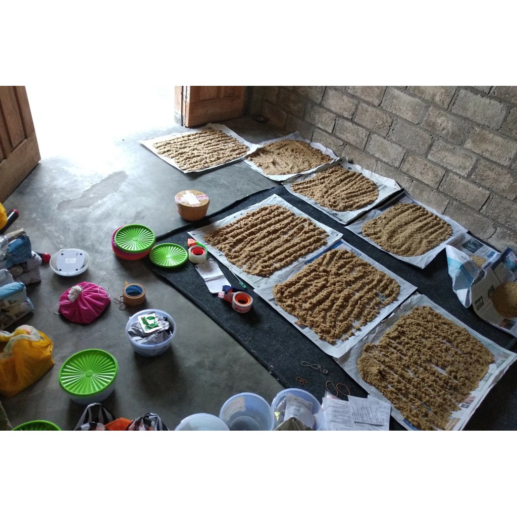 Telur jangkrik kalung murah promo murah 1 kg