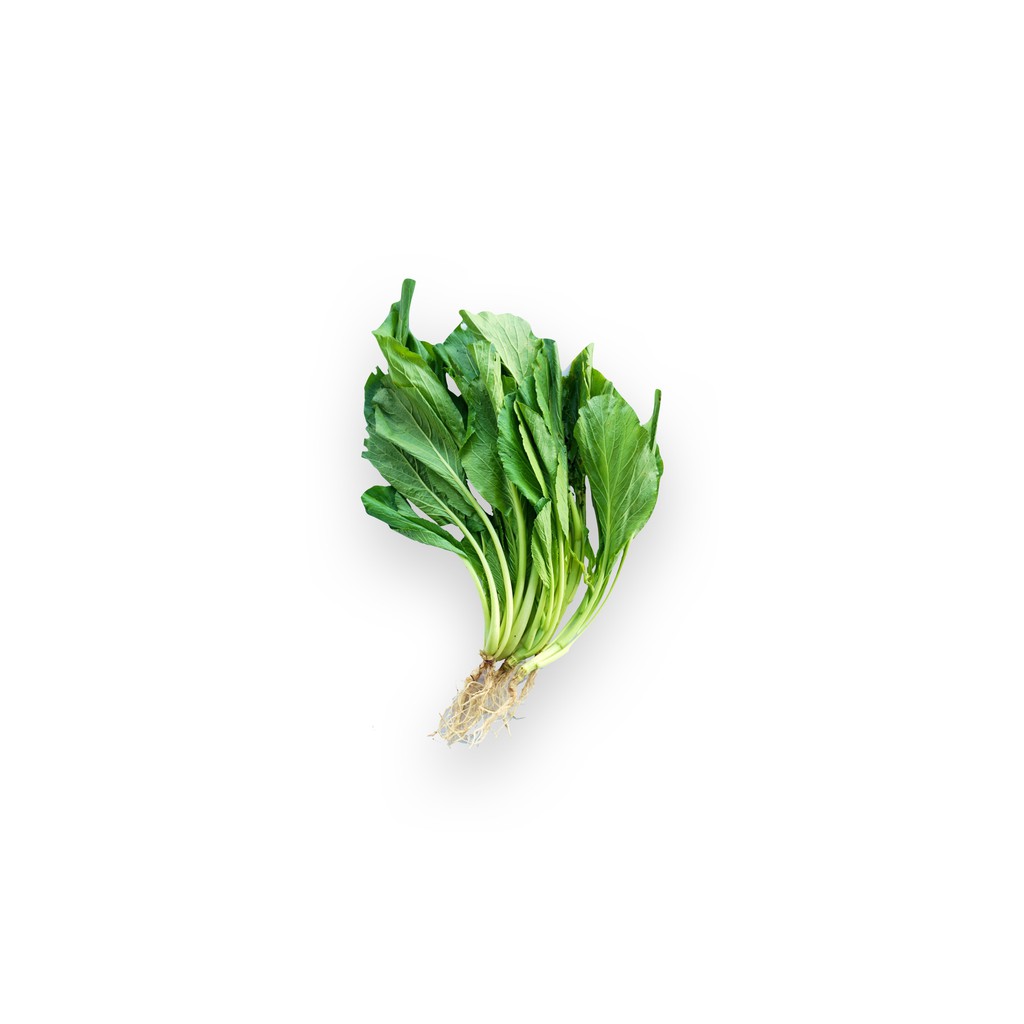 

SAYUR ORGANIK Caisim