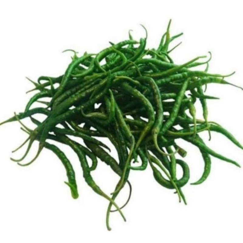 

cabe hijau kriting