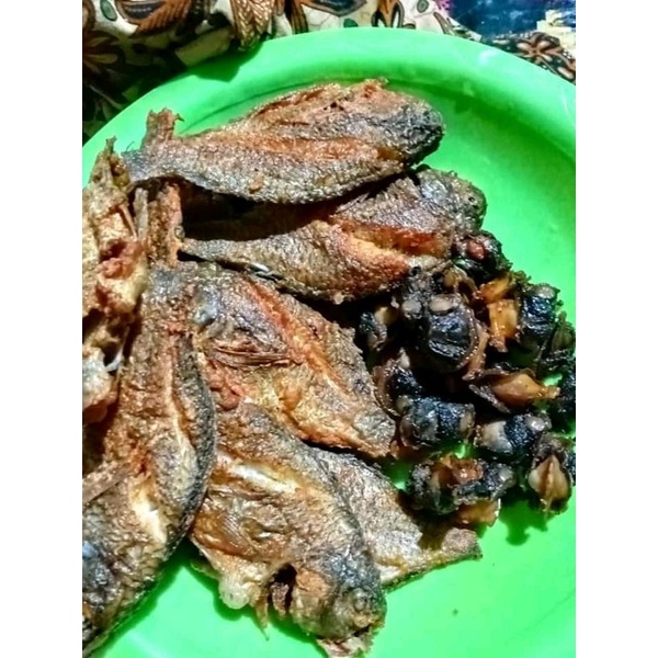

Ikan Nila goreng Purworejo