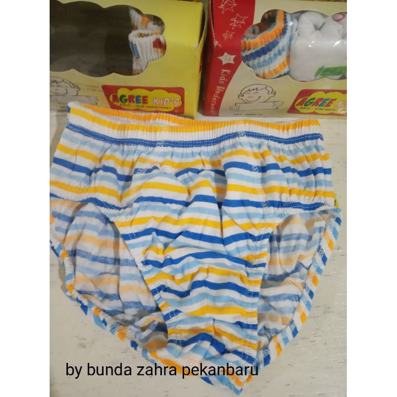 agree kids celana dalam anak laki-laki