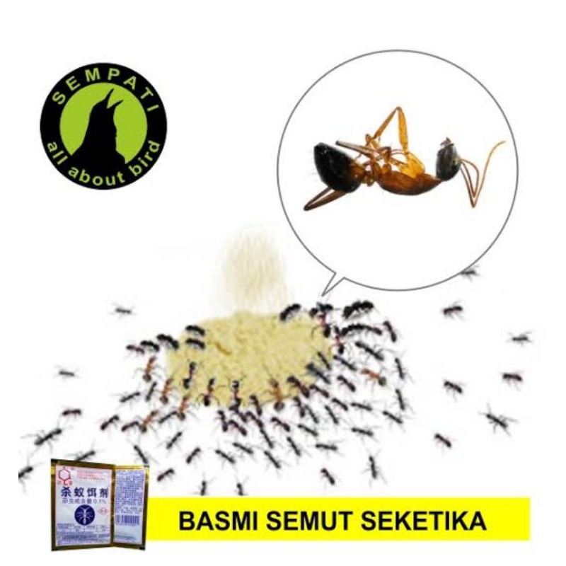 racun semut racun bubuk racun kecoak racun tikus bubuk racun larva