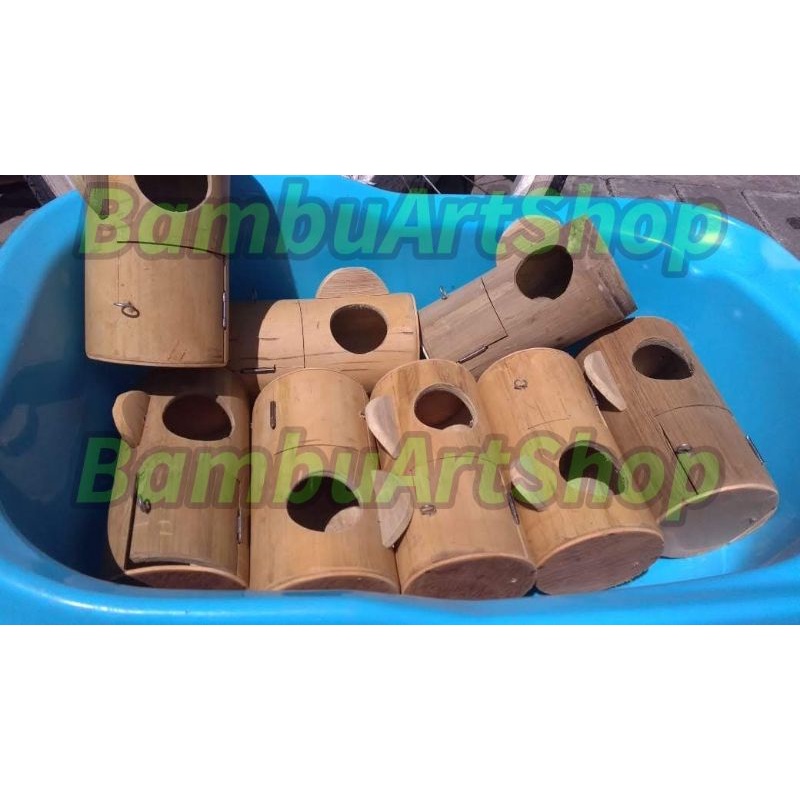Glodok bambu lovebird sangkar kapsul