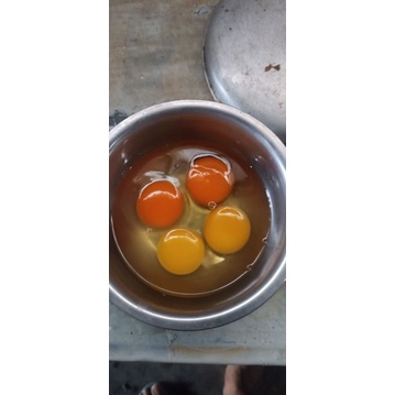 

Telur Ayam kampung Omega Mini Asli