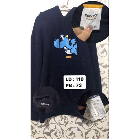 Hoodie Pancoat Navy