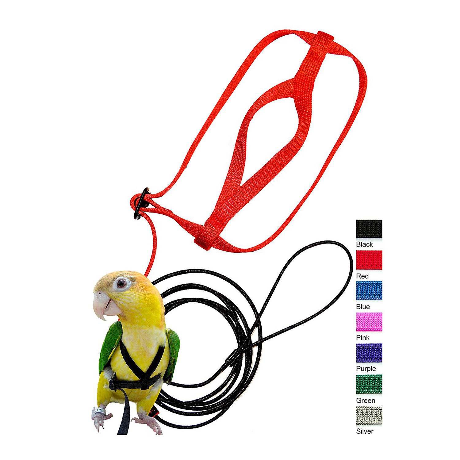 parakeet harness and leash