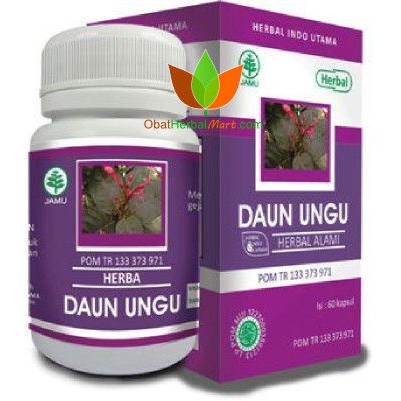 Obat Herbal Daun Ungu Herbal Indo Utama 60 Kapsul Obat Ambeien Wasir Shopee Indonesia