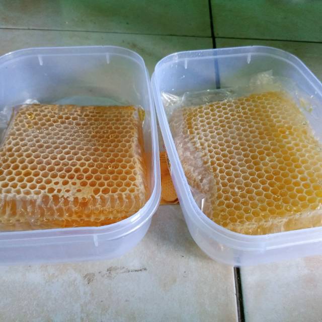 

Madu sarang fresh