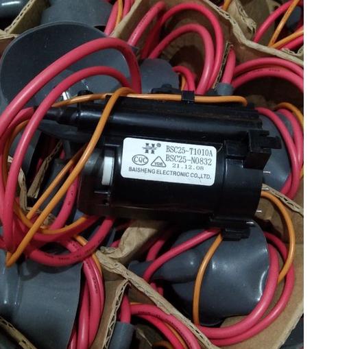 Flayback T1010A Baisheng Asli