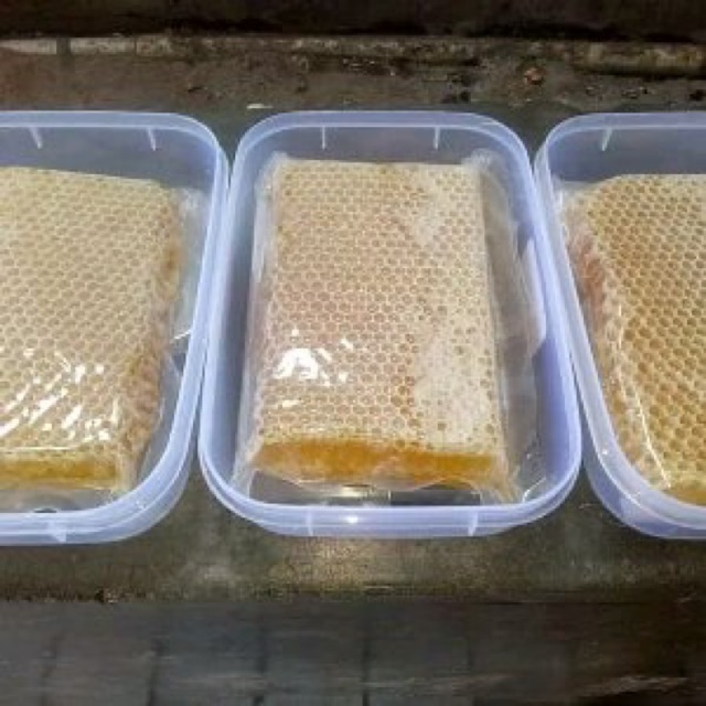 

SARANG MADU / HONEY COMB / MADU MURNI