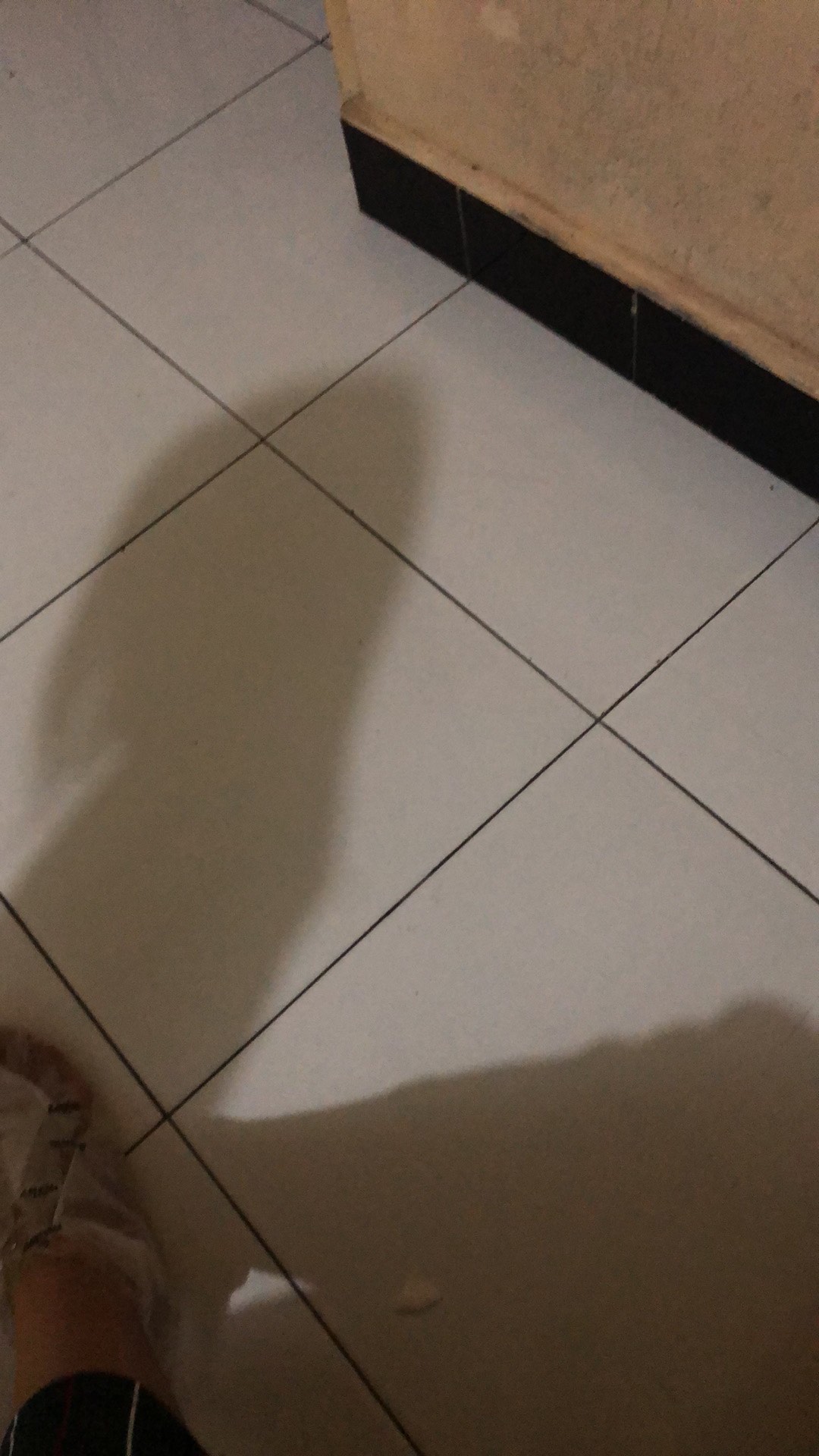 Pemutih Gigi Alami Charcoal Teeth Whitening Powder Activated 30gr Original Sikat Gigi Bamboo