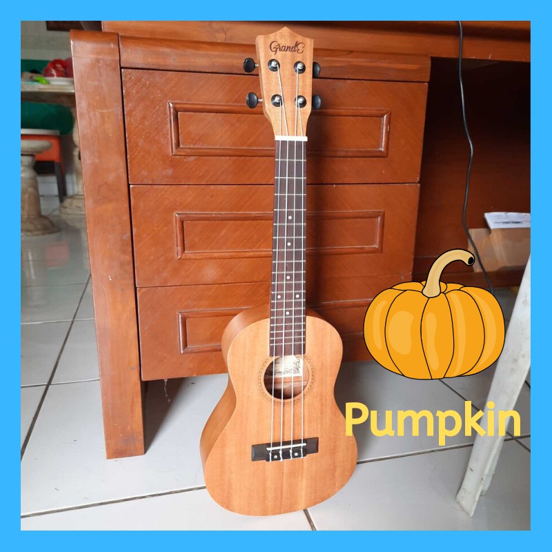 Ukulele Concert Grande 23 inch BONUS Sarung dan acc lain