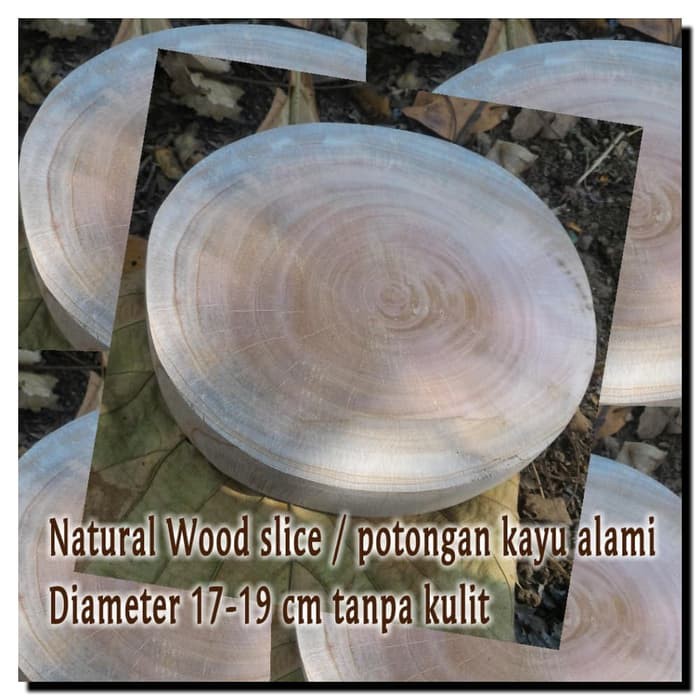 Ready Potongan kayu alami wood slice tanpa kulit talenan hiasan dekorasi