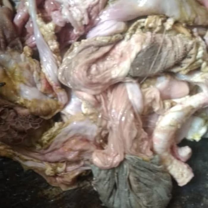 

Tetelan Jeroan Kambing 1 kg