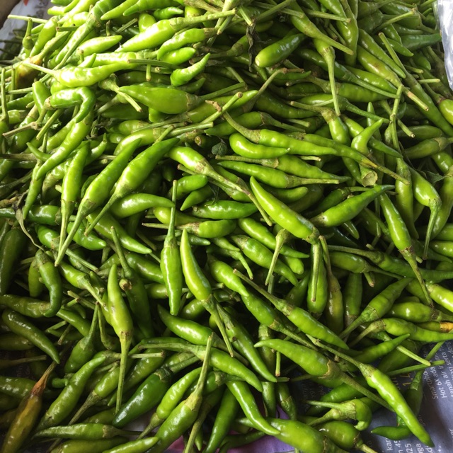 

Cabe Rawit Hijau 1KG