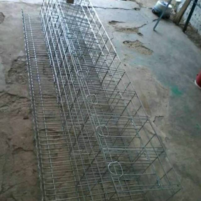 

Batre ayam petelur long