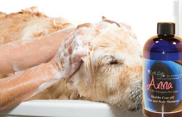 shampoo for goldendoodles