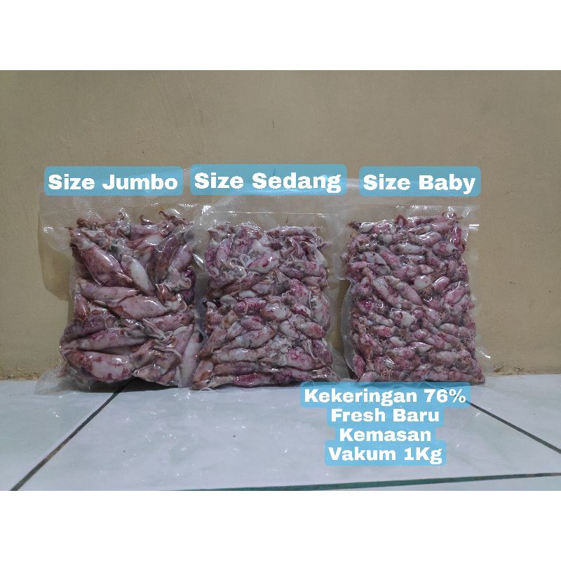 

Sotong / Cumi / Cumi Asin / Cumi Rebus 1 KG Size Jumbo|Sedang|Baby