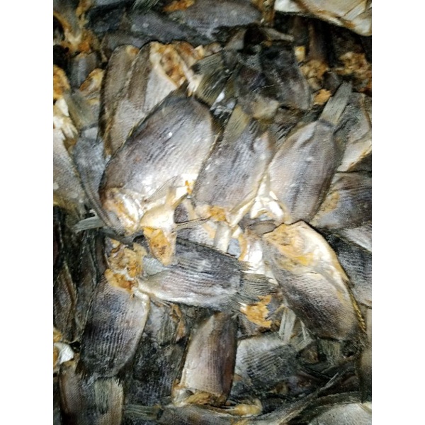 

Ikan Asin Tembakang Tambak Tawar Murah 500g