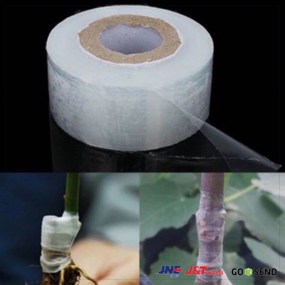 Grafting Okulasi Sambung Pucuk Tape Plastik PARAFILM 3 CM X 100 M Praktis dan Berkulitas