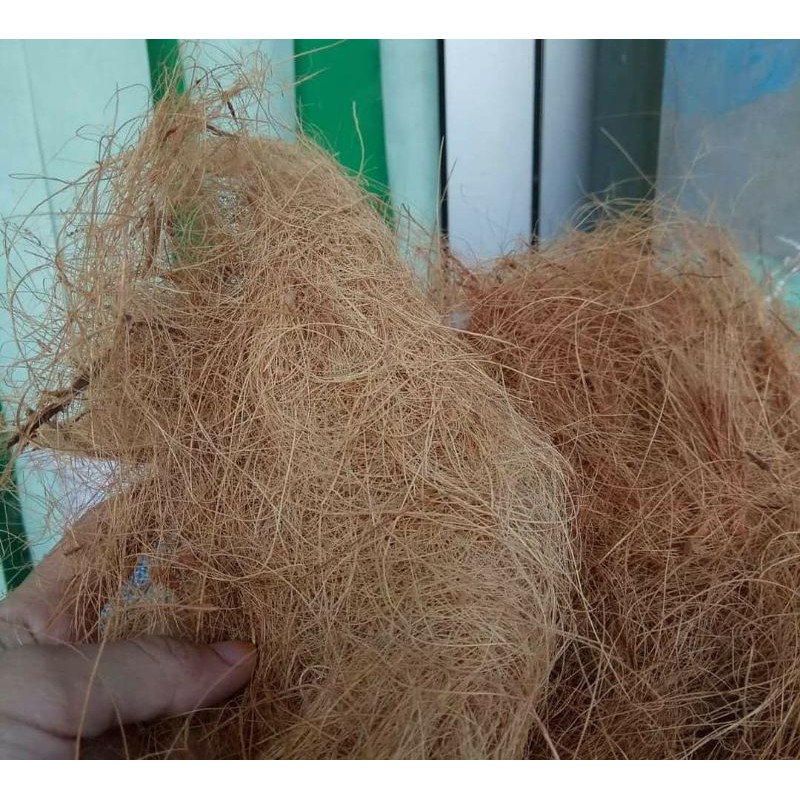 Serabut Kelapa / Coco Fiber
