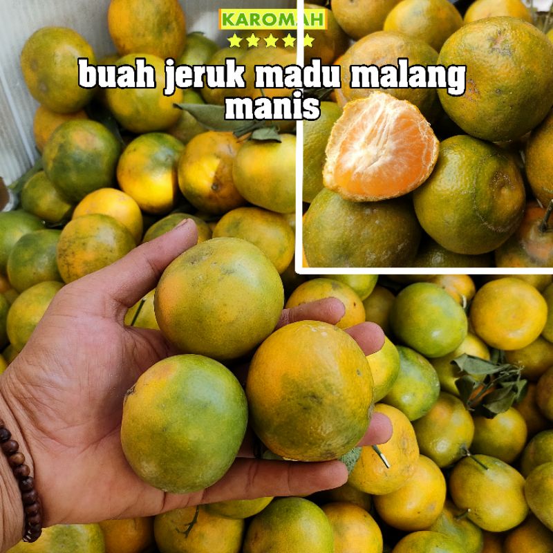 

BUAH JERUK MADU MALANG 1 KG | MANIS SEGAR BERAIR