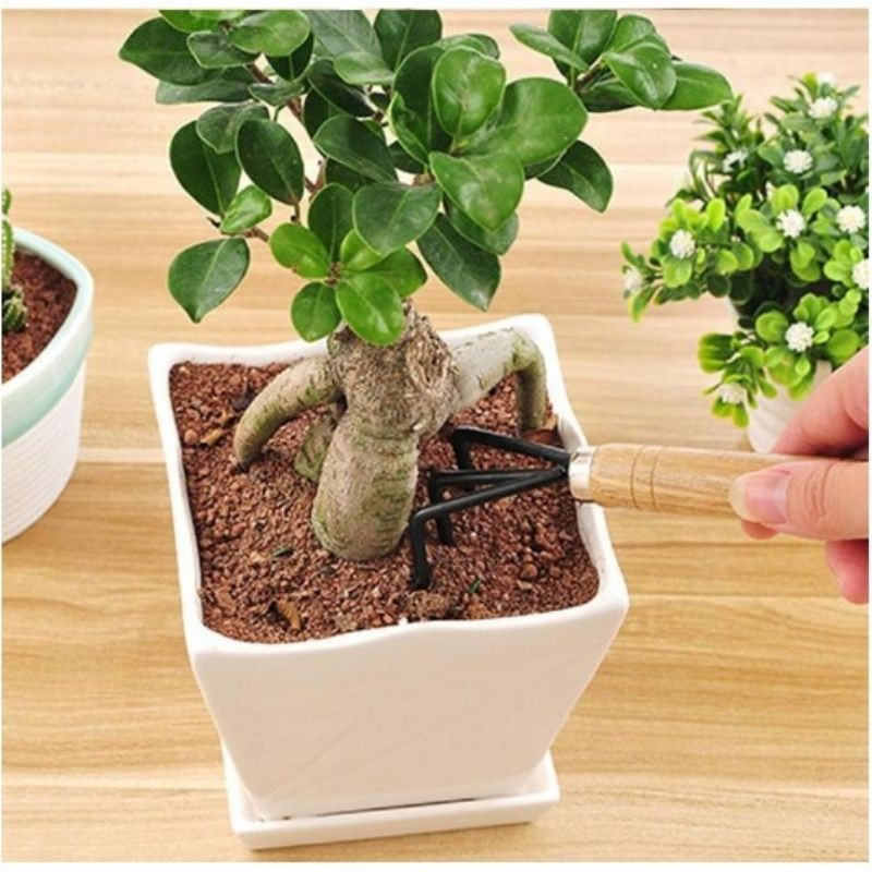 Set Berkebun Mini 3 IN 1 (Sekop, Garpu, Cangkul) . ALAT BERKEBUN SEKOP GARUKAN MINI 3 IN 1(SM-3)