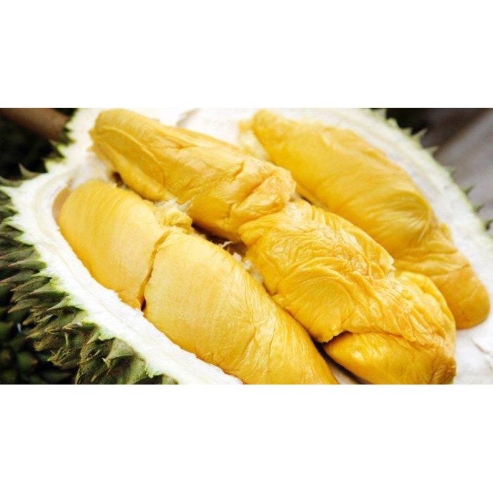 

Bubuk Essence Durian 500 gram,Jual Bubuk Essen Duren Powder Murah Halal Good Aroma