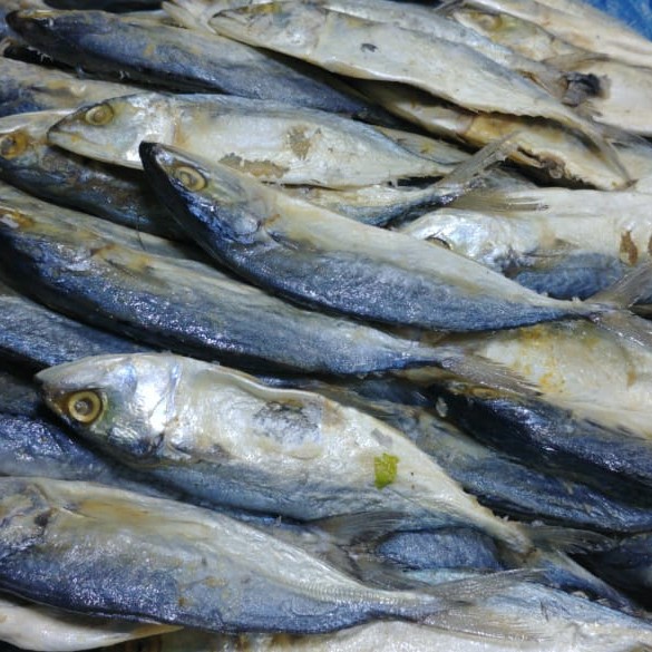 

ikan asin pedak super