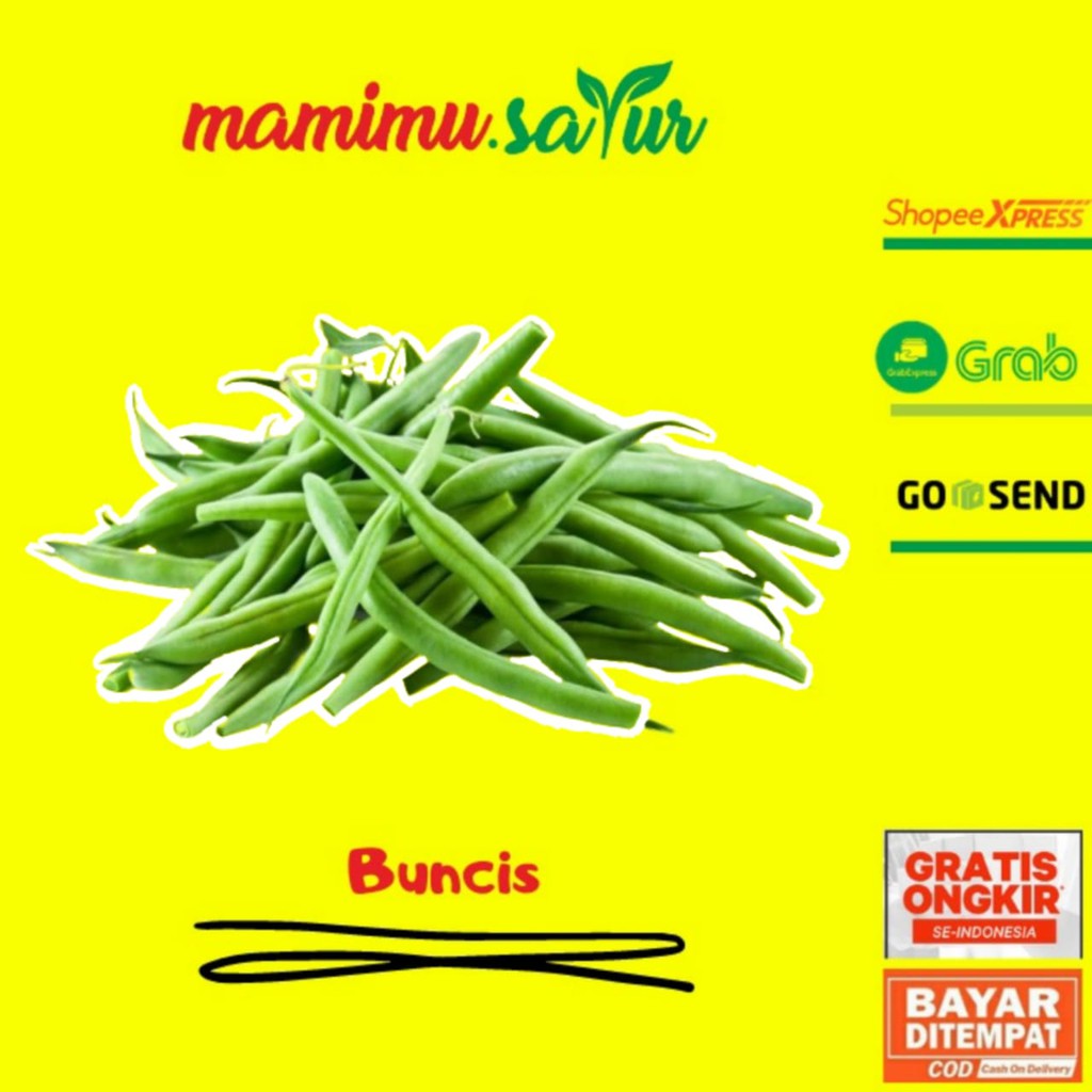 

SAYUR SAYURAN FRESH SEGAR BUNCIS PANJANG TEGAK HIJAU IJO - 1 KG